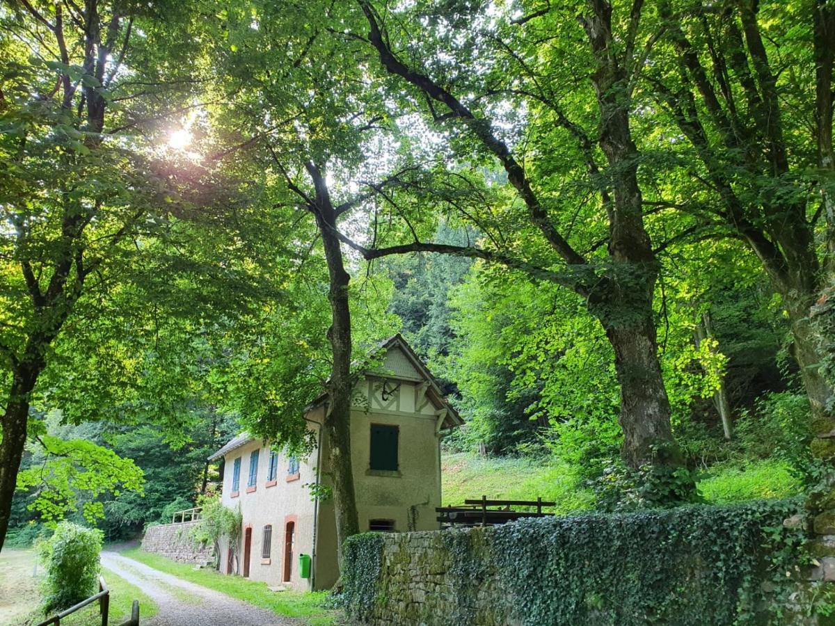Odenwald-Lodge Mit Infrarotsauna Und E-Ladestation Im Naturpark Odenwald "Haus Himmelblau" Reichelsheim Exterior photo